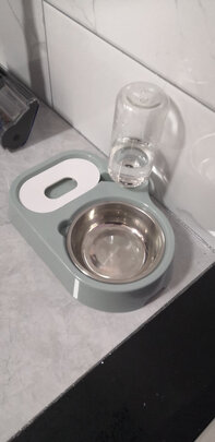 猫碗狗碗