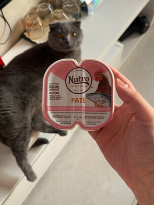 猫粮罐头