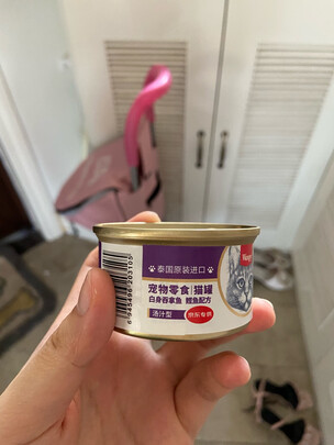 猫罐头