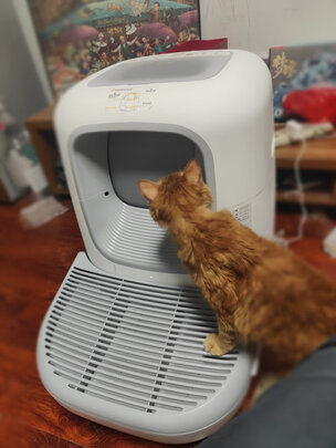 猫砂盆