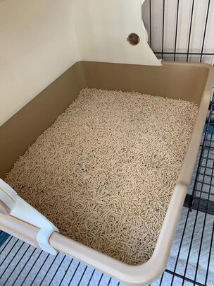 膨润土猫砂