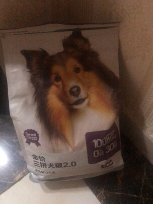 狗粮