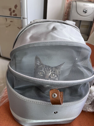 猫包