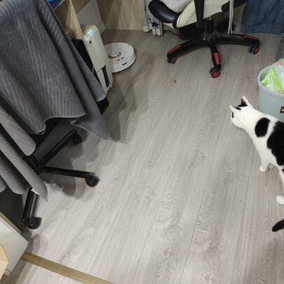 扫地机器人|知乎评测：石头T4、P5、T6、T7、T7 Pro各型号对比区别在哪里？