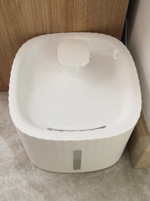 宠物饮水机