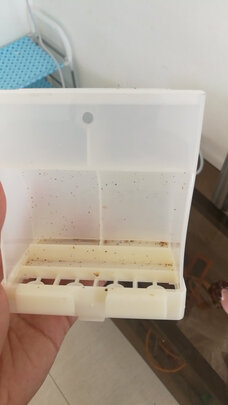 自动喂食器