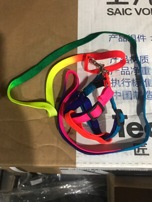 狗绳