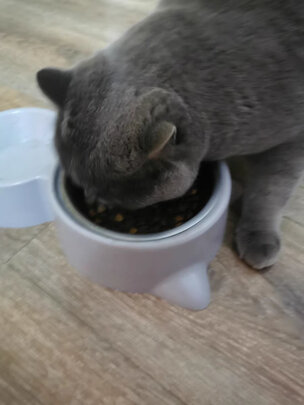 狗粮