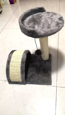 猫爬架