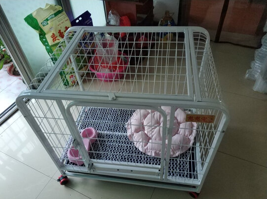  狗笼