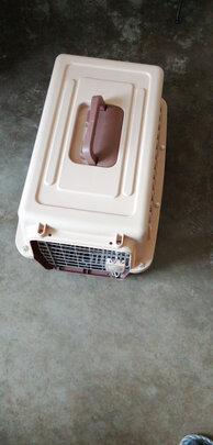 猫包
