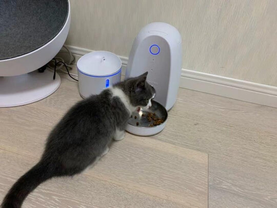 宠物水壶