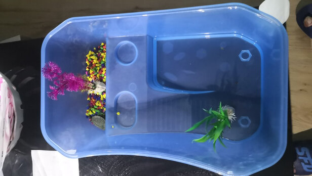 乌龟缸