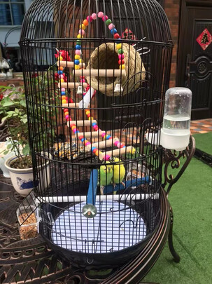 鸟笼