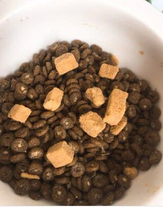 猫粮
