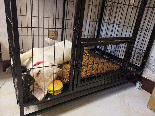 狗狗嘴套