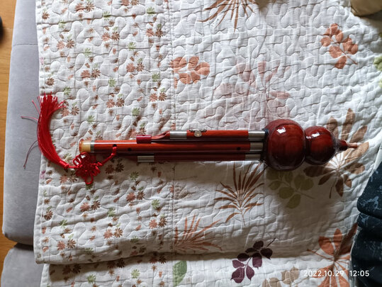 乐器葫芦丝