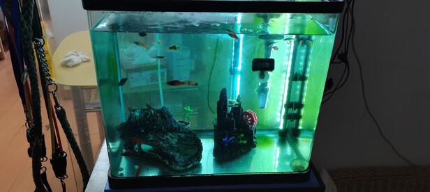 鱼缸净水剂