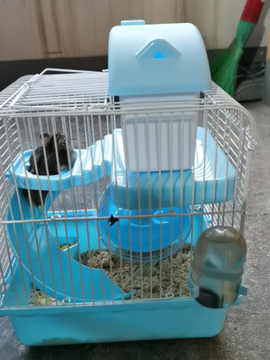 仓鼠水壶