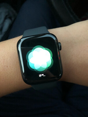 Apple Watch Series 5用后敢说良心感受