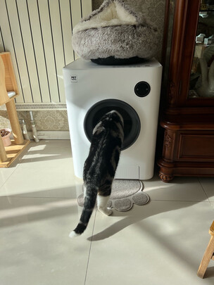 猫砂铲