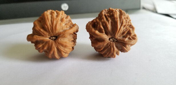 文玩核桃
