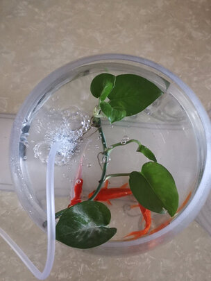 鱼缸氧气泵