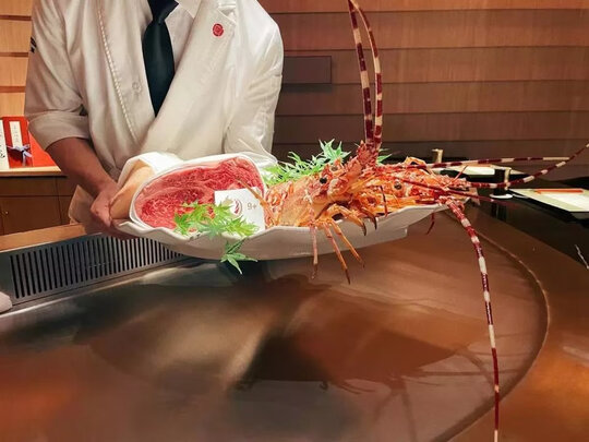 狗粮