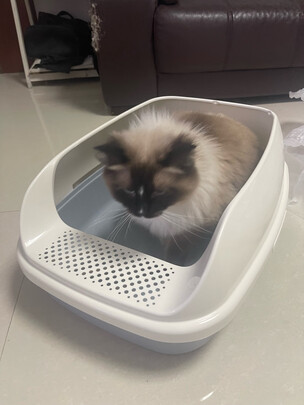 猫砂盆