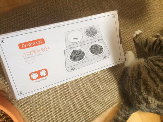 猫碗狗碗