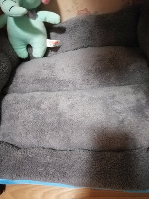 猫窝