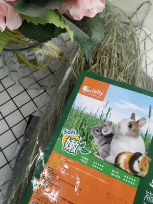 兔粮提摩西草