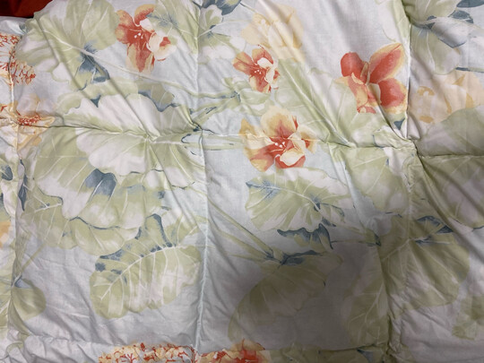 富安娜欢乐颂抗菌白鹅绒冬厚被（前车之鉴）有必要告诉大家真相