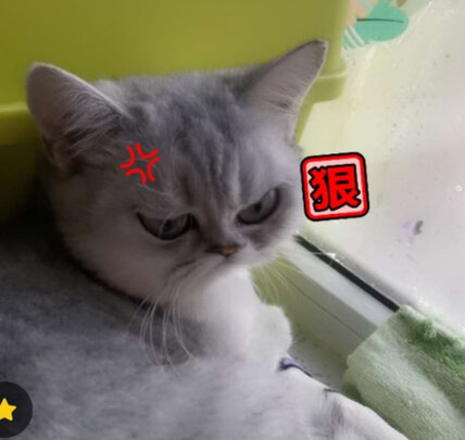 宠物消毒液