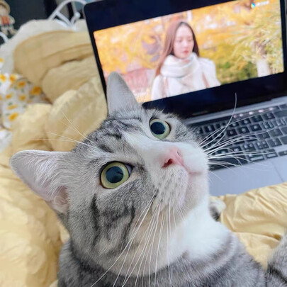 宠物饮水机