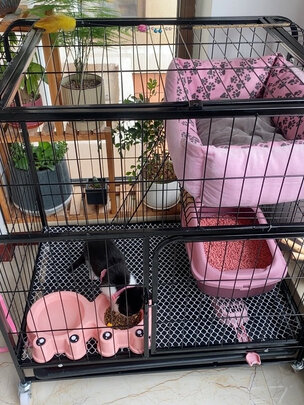 猫笼