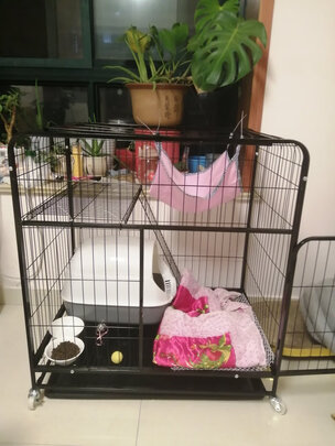  猫笼