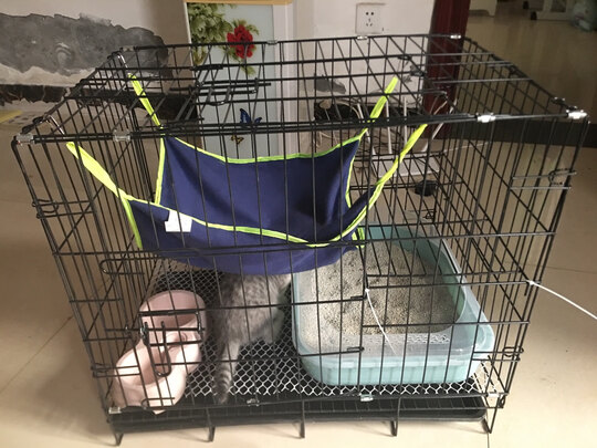  猫笼