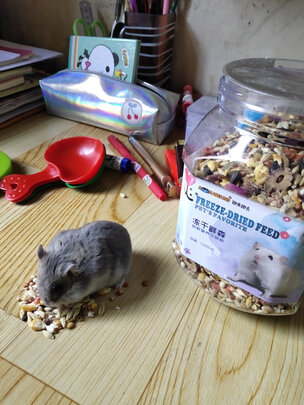 仓鼠粮食