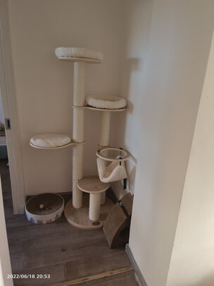 猫爬架
