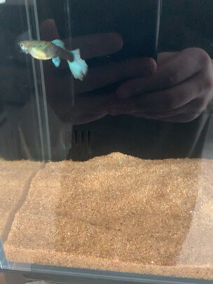 鱼缸底砂