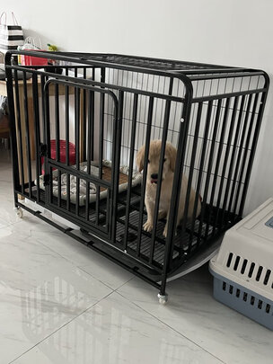  狗笼