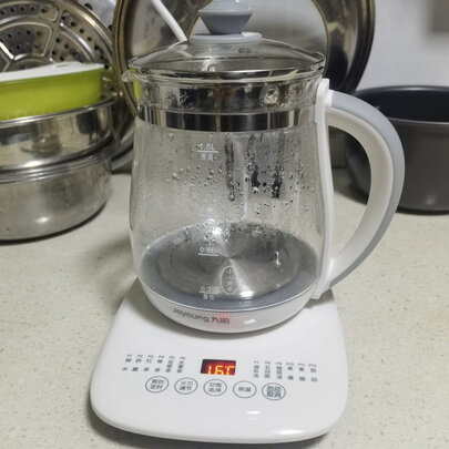 养生壶