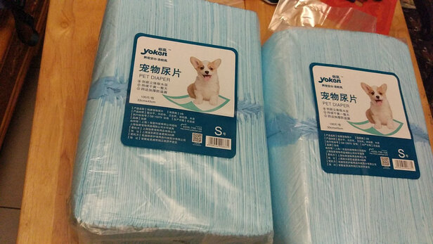 宠物纸尿裤