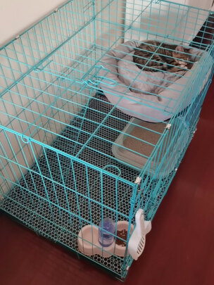  猫笼