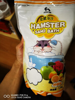 仓鼠浴沙