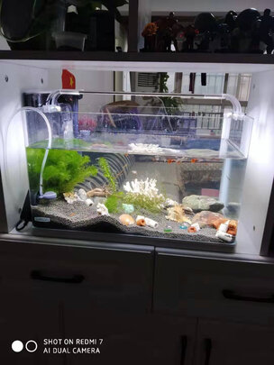 鱼缸底沙