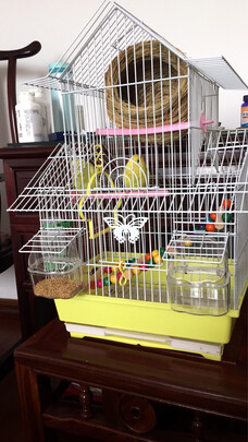 鸟粮