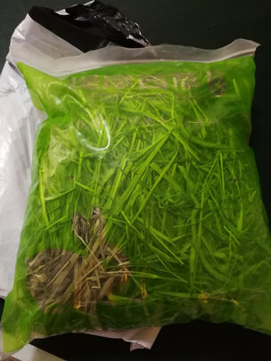 兔子饲料