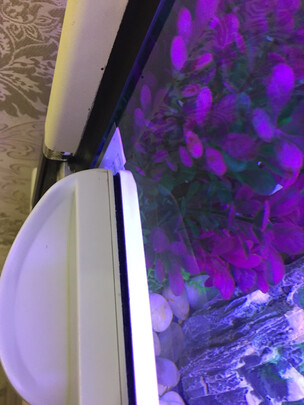 鱼缸刷磁力刷